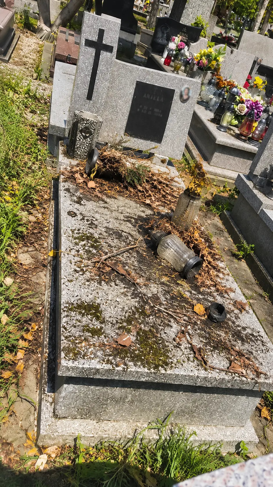 Grób z obsadzeniem zielenią przed sprzątaniem